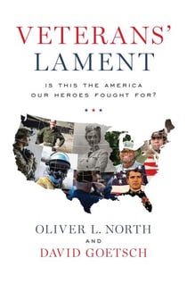 Veterans’ Lament: Is This the America Our Heroes Fought For?