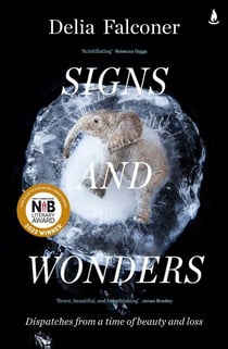 Signs and Wonders - Dispatches from a time of beauty and loss