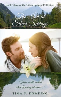 The Inn at Silver Springs - Silver Springs, #3