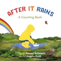 After It Rains - A Counting Book