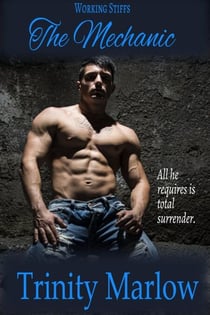 The Mechanic - Working Stiffs, #3