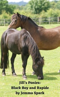Jill's Ponies: Black Boy and Rapide - Jill Series, #8