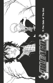 Bleach - T02 - Chapitre 12 - The Gate of The End