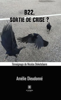 B22, sortie de crise ? - Roman