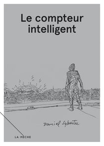 Le compteur intelligent - Carnets libres, volume 2