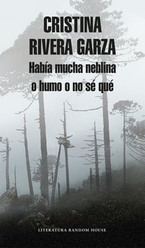 Había mucha neblina o humo o no sé qué - Caminar con Juan Rulfo