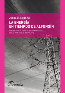 La energía en tiempos de Alfonsín - Innovación, planificación estratégica, obras y autoabastecimiento