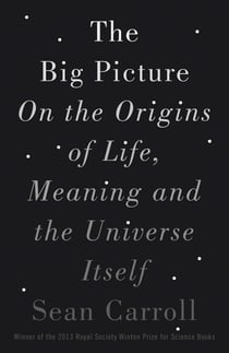 The Big Picture - On the Origins of Life, Meaning, and the Universe Itself