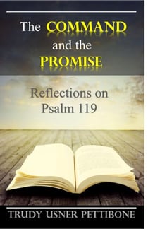 The Command and the Promise