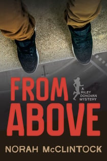 From Above - A Riley Donovan mystery