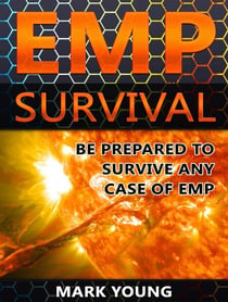 EMP Survival: Be Prepared To Survive Any Case of EMP