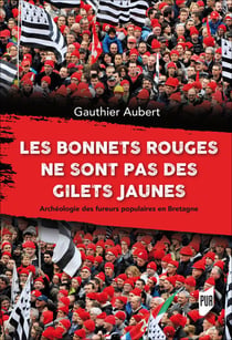 Les bonnets rouges ne sont pas des gilets jaunes - Archéologie des fureurs populaires en Bretagne