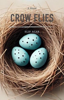 Crow Flies - The Crow Series, #1