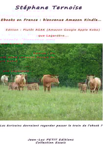 Ebooks en France : bienvenue Amazon Kindle ; Edition : Plutôt AGAK (Amazon Google Apple Kobo) que Lagardère