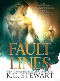 Fault Lines - Adirondack Pack, #4
