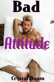 Bad Attitude - Wolf Investigations and Securities Inc., #4