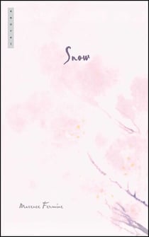 Snow - A Novel