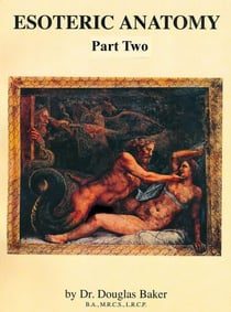 Esoteric Anatomy - Part 2 - Esoteric Anatomy, #2