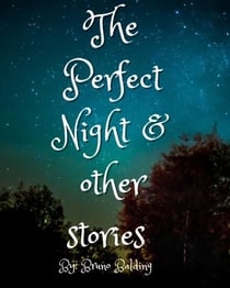 The Perfect Night And Other Stories