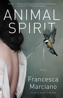 Animal Spirit - Stories