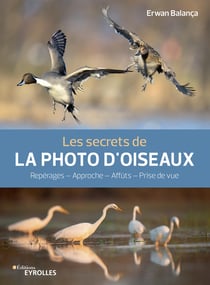 Les secrets de la photo d'oiseaux - Repérages – Approche – Affûts – Prise de vue