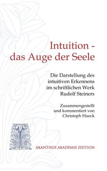 Intuition - das Auge der Seele - Die Darstellung des intuitiven Erkennens im schriftlichen Werk Rudolf Steiners