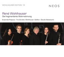 René Wohlhauser: Die fragmentierte Wahrnehmung