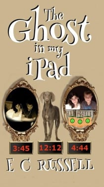 The Ghost in my iPad ~ A Binge Book - The Ghost in my iPad, #4
