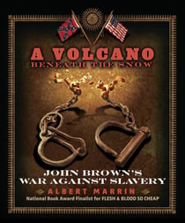A Volcano Beneath the Snow - John Brown's War Against Slavery