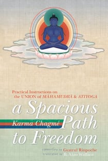 A Spacious Path to Freedom - Practical Instructions on the Union of Mahamudra and Atiyoga