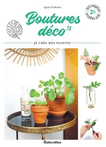 Boutures déco - Je crée mes plantes