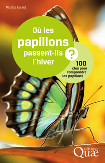 Où les papillons passent-ils l'hiver ? - 100 clés pour comprendre les papillons