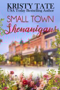 Small Town Shenanigans - Small Town, #2