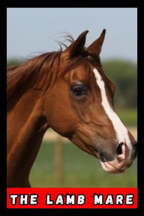 The Lamb Mare - contos, #1