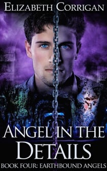 Angel in the Details - Earthbound Angels, #4