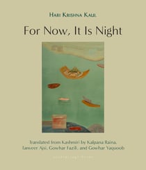 For Now, It Is Night - Stories
