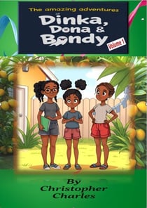 The Amazing Adventures of Dinka, Dona and Bondy - The Amazing Adventures of Dinka, Dona and Bondy, #1