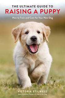 The Ultimate Guide to Raising a Puppy - How to Train and Care for Your New Dog
