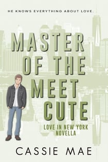 Master of the Meet Cute - Love in New York