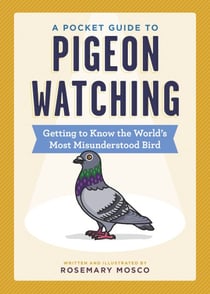 A Pocket Guide to Pigeon Watching - Getting to Know the World's Most Misunderstood Bird