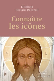 Connaître les icônes