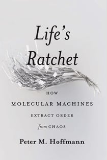 Life's Ratchet - How Molecular Machines Extract Order from Chaos