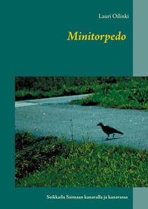 Minitorpedo - Seikkailu Saimaan kanavalla ja kanavassa