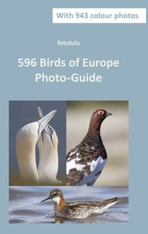 596 Birds of Europe - Photo-Guide