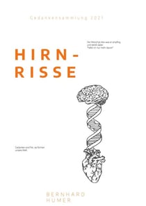 Hirnrisse - Eine Collage meiner, für so manchen hirnrissigen, Gedanken