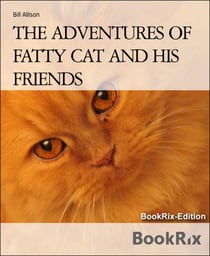 THE ADVENTURES OF FATTY CAT AND HIS FRIENDS - FATTY CAT