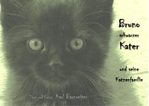 Bruno schwarzer Kater - und seine Katzenfamilie