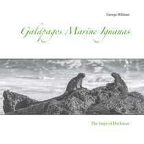 Galápagos Marine Iguanas - The Imps of Darkness