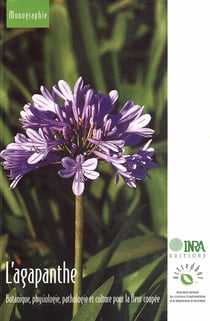L'agapanthe - Botanique, physiologie, pathologie et culture pour la fleur coupée