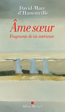 L'Âme sœur - Fragments de vie intérieure
